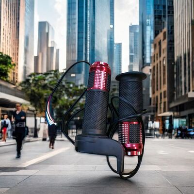 Dolphin Electric Scooter 24V 36V 300W Two-Wheel Battery Speed Control with Turn Throttle Handle Accessory for Electric Bicycles