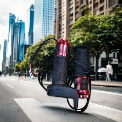 Dolphin Electric Scooter 24V 36V 300W Two-Wheel Battery Speed Control with Turn Throttle Handle Accessory for Electric Bicycles